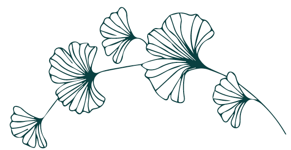 Heidi Fournier-Wirthner - Naturopathe en Valais